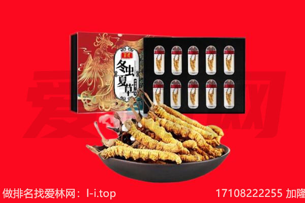 西宁市回收虫草.jpg